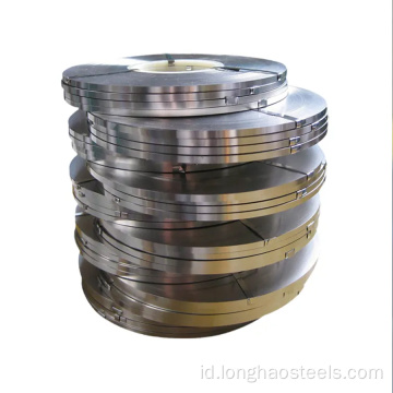 Hot gulung lembut 1000 grade stainless strip